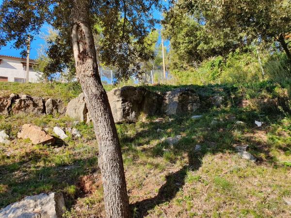 Terreno en pau casals