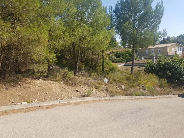 Terreno en calle Senglar, 67 b