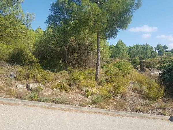 Terreno en calle Senglar, 67 b