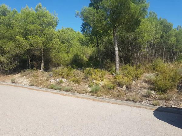 Terreno en calle Senglar, 67 b