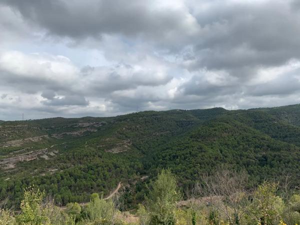 Terreno en avenida de la Quintana, 24