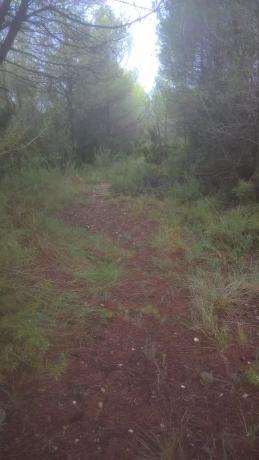 Terreno en Ca L'Esteve s/n