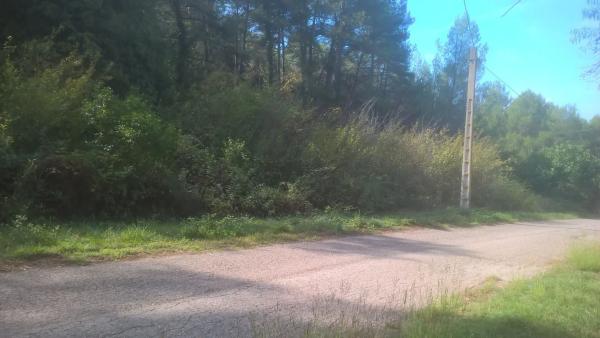 Terreno en Ca L'Esteve s/n