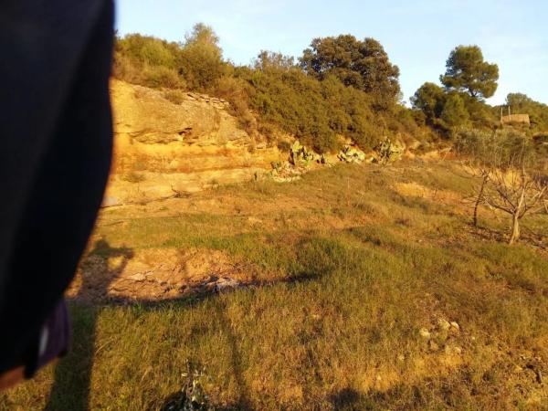 Terreno en El Pont de Vilomara i Rocafort