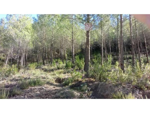 Terreno en El Pont de Vilomara i Rocafort