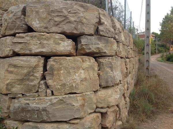 Terreno en calle Xiprer, 24