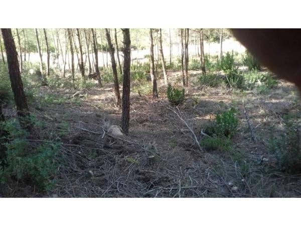 Terreno en El Pont de Vilomara i Rocafort