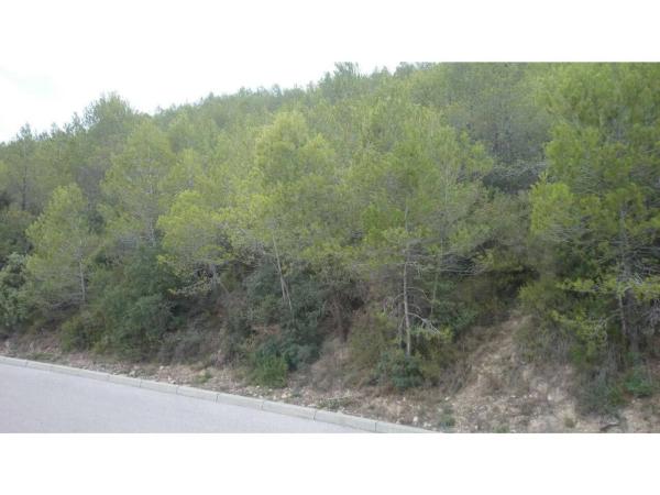 Terreno en El Pont de Vilomara i Rocafort
