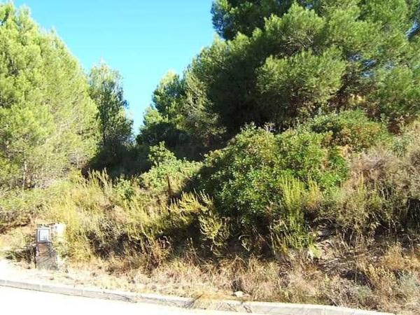 Terreno en calle Coloms, 87