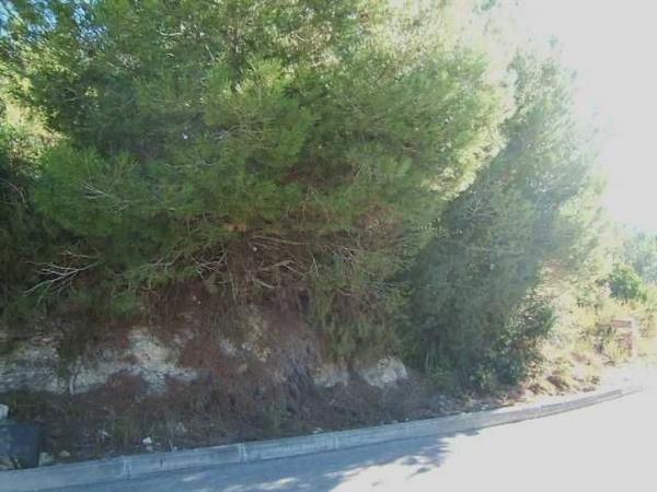 Terreno en calle Coloms, 87