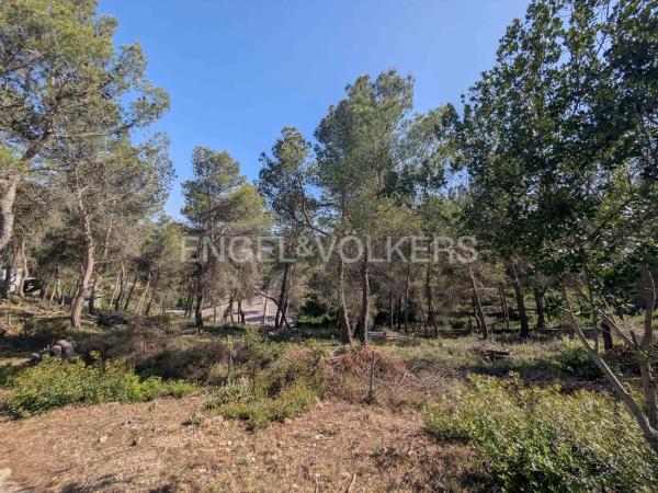 Terreno en Corbera de Llobregat