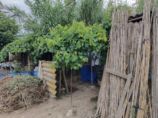 Terreno en camino del Riu, Martorell, 1