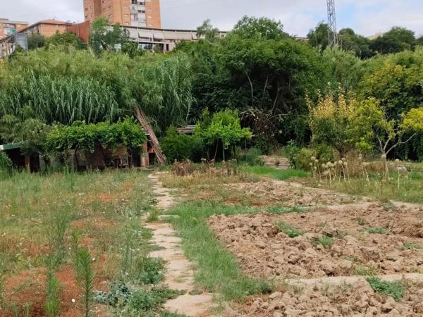 Terreno en camino del Riu, Martorell, 1
