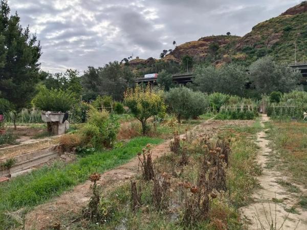 Terreno en camino del Riu, Martorell, 1