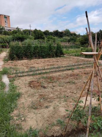Terreno en camino del Riu, Martorell, 1