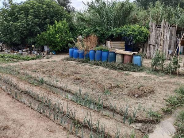 Terreno en camino del Riu, Martorell, 1