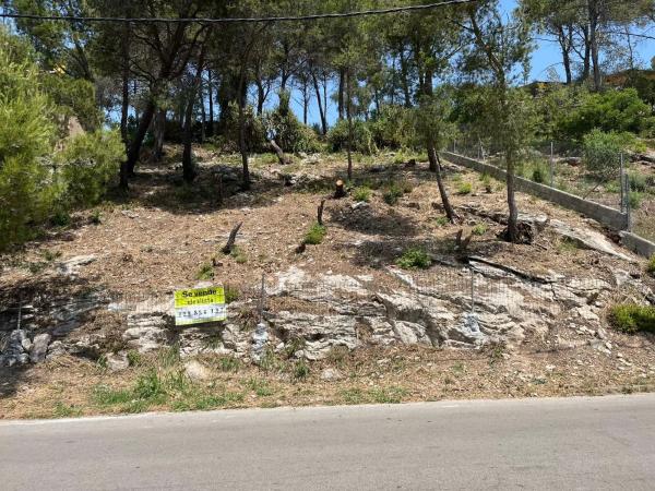 Terreno en avenida dels Països Catalans, 25