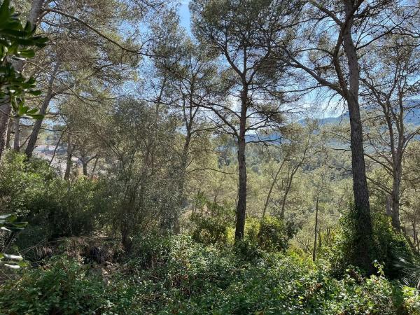 Terreno en avenida dels Països Catalans, 25