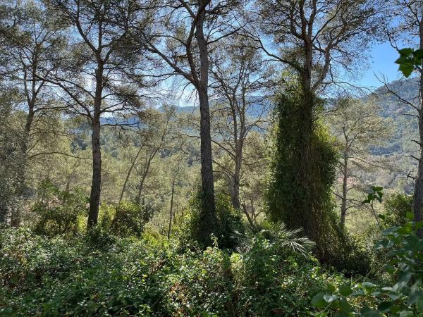 Terreno en avenida dels Països Catalans, 25