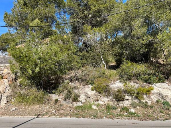 Terreno en avenida dels Països Catalans, 25