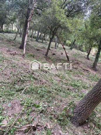 Terreno en Cervelló