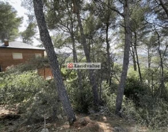 Terreno en calle Principat de Catalunya, 26