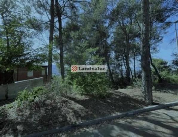 Terreno en calle Principat de Catalunya, 26