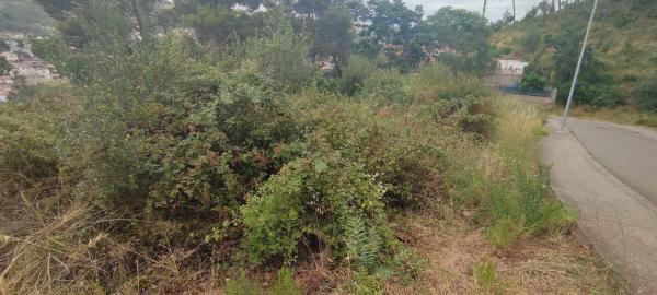 Terreno en calle Juli Garreta