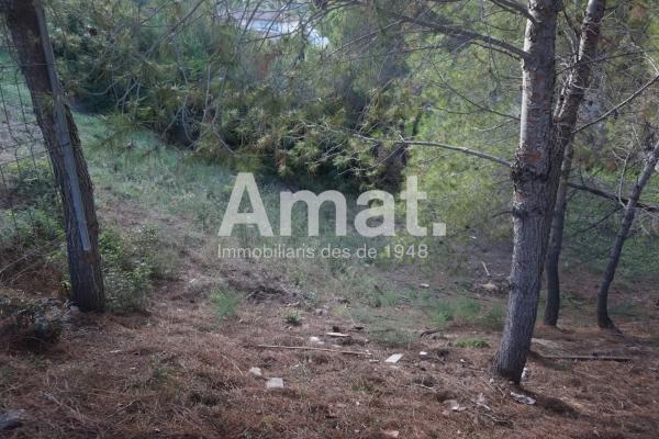 Terreno en calle de l'Alzina