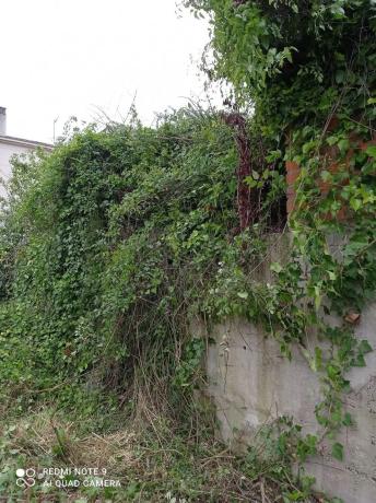 Terreno en avenida dels Països Catalans, 232