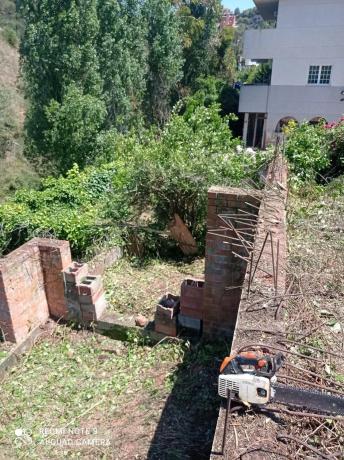 Terreno en avenida dels Països Catalans, 232