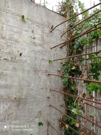 Terreno en avenida dels Països Catalans, 232