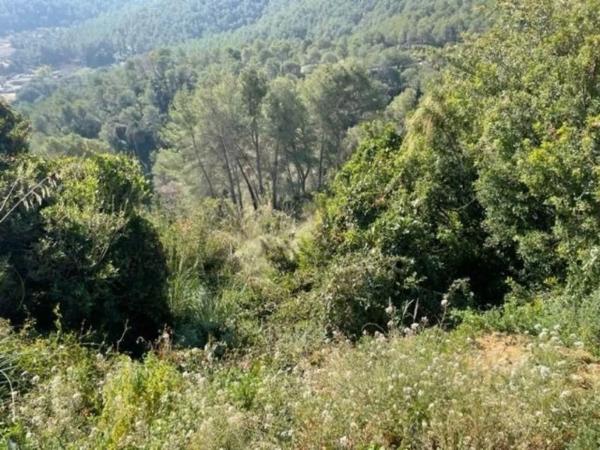 Terreno en Vallirana
