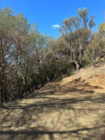 Terreno en Can Vinyals