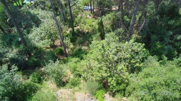 Terreno en calle Empordà, 39