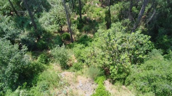 Terreno en calle Empordà, 39