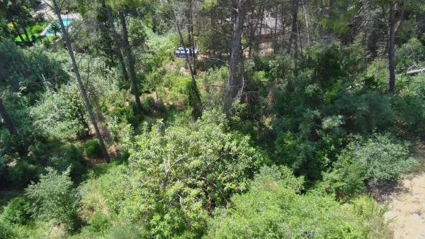 Terreno en calle Empordà, 39