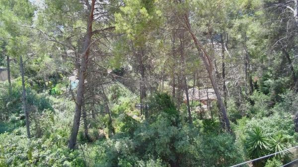 Terreno en calle Empordà, 39