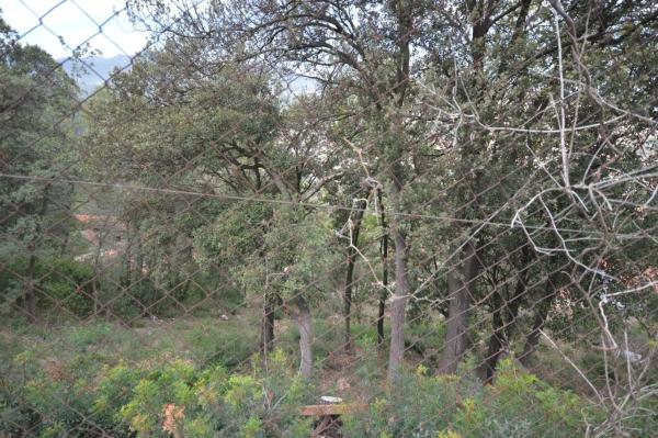 Terreno en Corbera de Llobregat