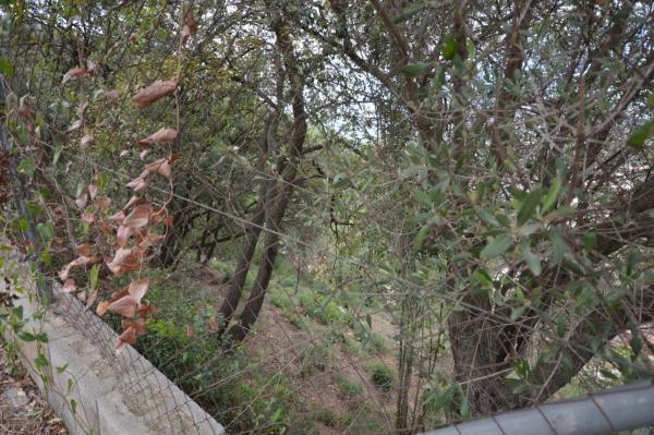 Terreno en Corbera de Llobregat