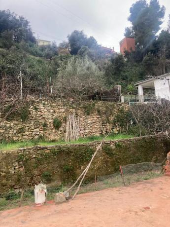 Terreno en calle Montseny, 29