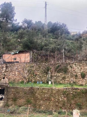 Terreno en calle Montseny, 29