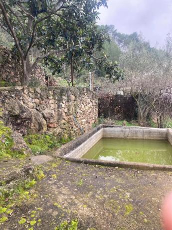 Terreno en calle Montseny, 29