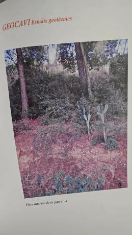 Terreno en calle Murcia