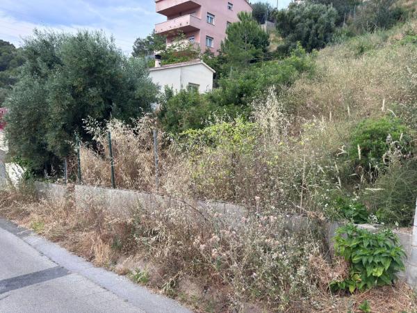 Terreno en calle Murcia