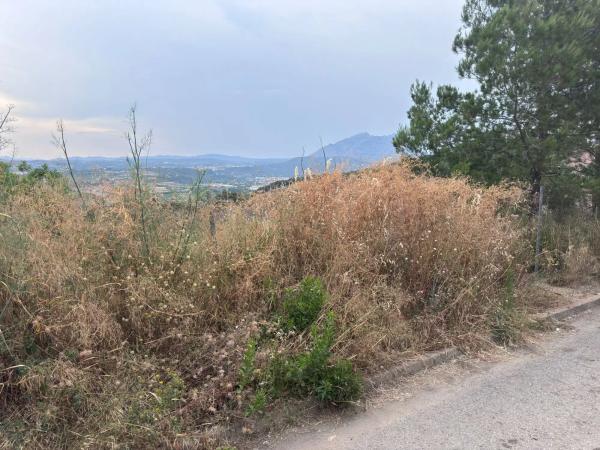 Terreno en calle Murcia