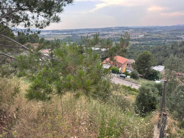 Terreno en calle Murcia