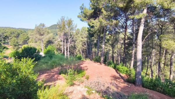 Terreno en Cervelló