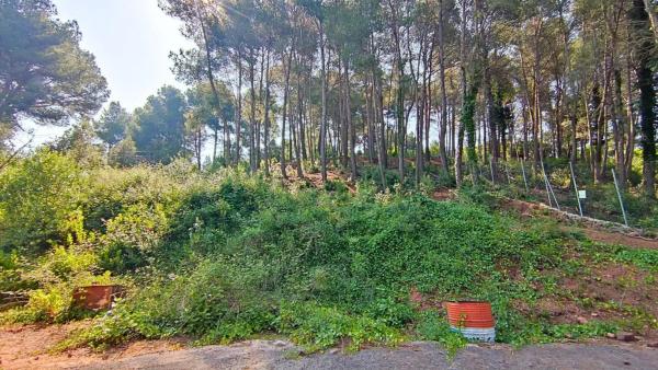 Terreno en Cervelló