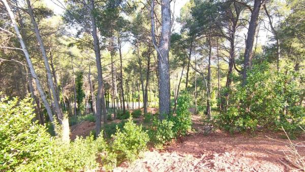 Terreno en Cervelló